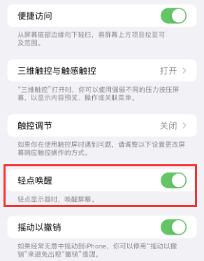 洛龙苹果授权维修站分享iPhone轻点无法唤醒怎么办 