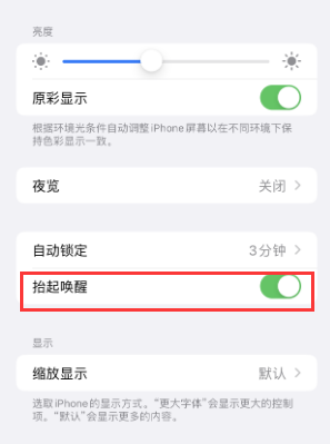 洛龙苹果授权维修站分享iPhone轻点无法唤醒怎么办