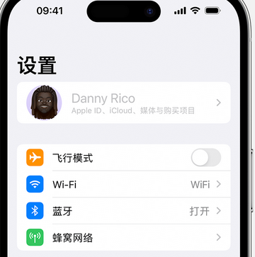 洛龙appleID维修服务iPhone设置中Apple ID显示为灰色无法使用 