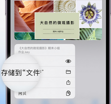 洛龙apple维修中心分享iPhone文件应用中存储和找到下载文件