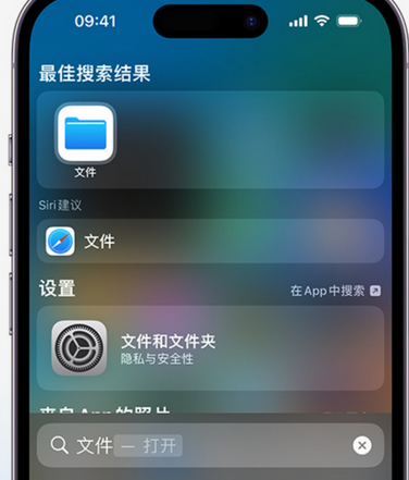 洛龙apple维修中心分享iPhone文件应用中存储和找到下载文件 