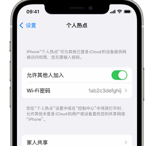 洛龙apple服务站点分享iPhone上个人热点丢失了怎么办