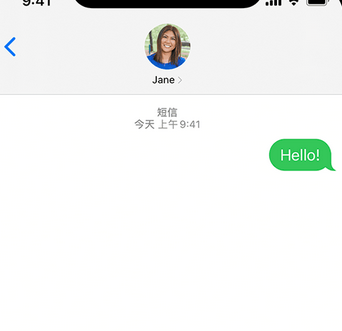 洛龙apple维修iPhone上无法正常发送iMessage信息