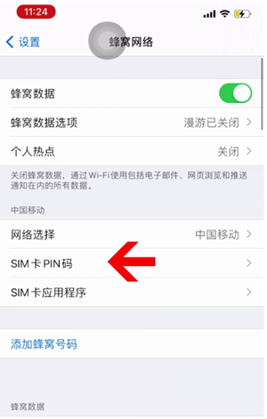 洛龙苹果14维修网分享如何给iPhone14的SIM卡设置密码 