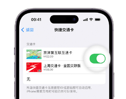 洛龙apple维修点分享iPhone上更换Apple Pay快捷交通卡手绘卡面 