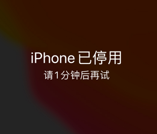 洛龙苹果手机维修分享:iPhone 显示“不可用”或“已停用”怎么办？还能保留数据吗？ 