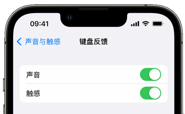 洛龙苹果手机维修分享iPhone 14触感键盘使用方法 