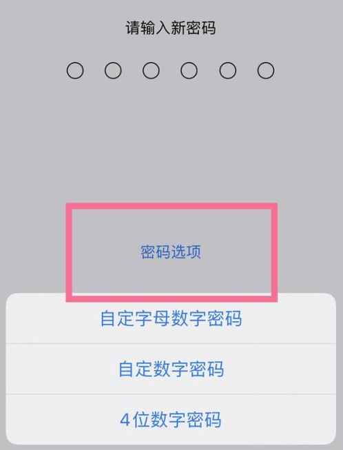 洛龙苹果14维修分享iPhone 14plus设置密码的方法 