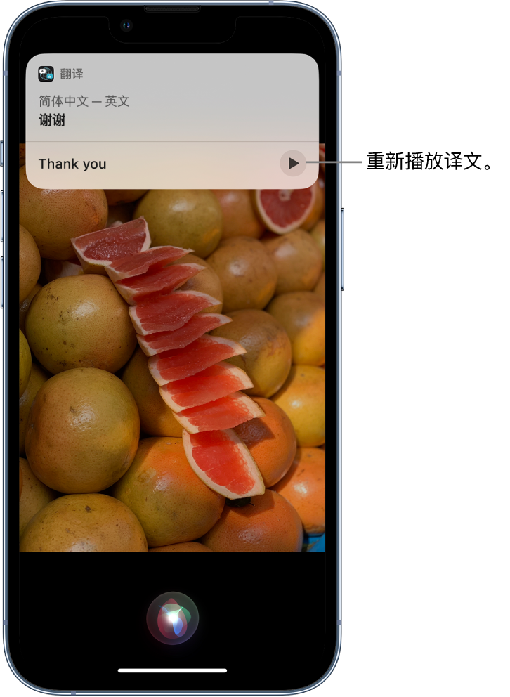 洛龙苹果14维修分享 iPhone 14 机型中使用 Siri：了解 Siri 能帮你做什么 