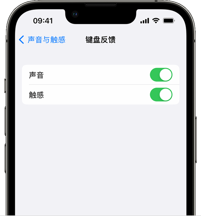 洛龙苹果14维修分享iPhone 14 系列机型如何开启键盘声音或触感反馈 
