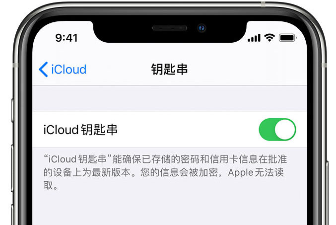 洛龙苹果手机维修分享在 iPhone 上开启 iCloud 钥匙串之后会储存哪些信息 