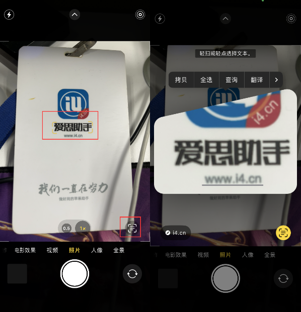 洛龙苹果手机维修分享升级iOS 16后如何通过相机翻译文本 