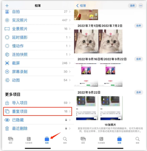 洛龙苹果手机维修分享iOS 16 中相册重复项目功能使用方法 