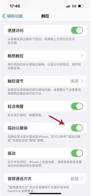 洛龙苹果手机维修分享iPhone手机如何设置摇一摇删除文字 