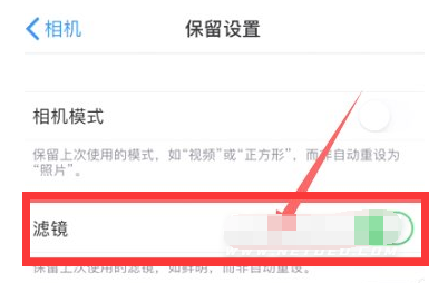 洛龙苹果13维修分享iPhone13拍照有绿点是怎么回事 