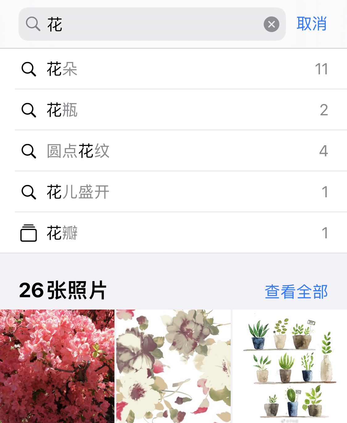 洛龙苹果手机维修分享iPhone 小技巧 