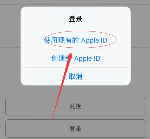 洛龙苹果手机维修分享两台iPhone设备可以同时登录一个Apple ID吗 