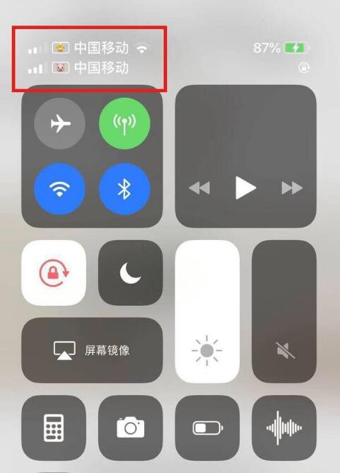 洛龙苹果手机维修分享为 iPhone 12 双卡设置标签 
