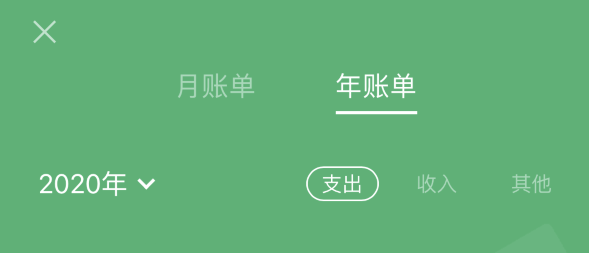 洛龙苹果手机维修分享如何在 iPhone 上查看支付宝和微信年支出账单 
